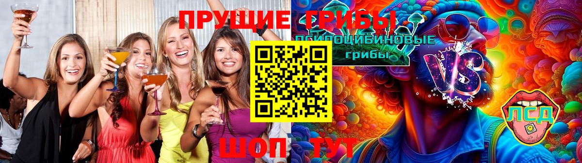 Псилоцибиновые грибы GOLDEN TEACHER  Вход с VPN  Галлюциногенные грибы мицелий  Качканар 
