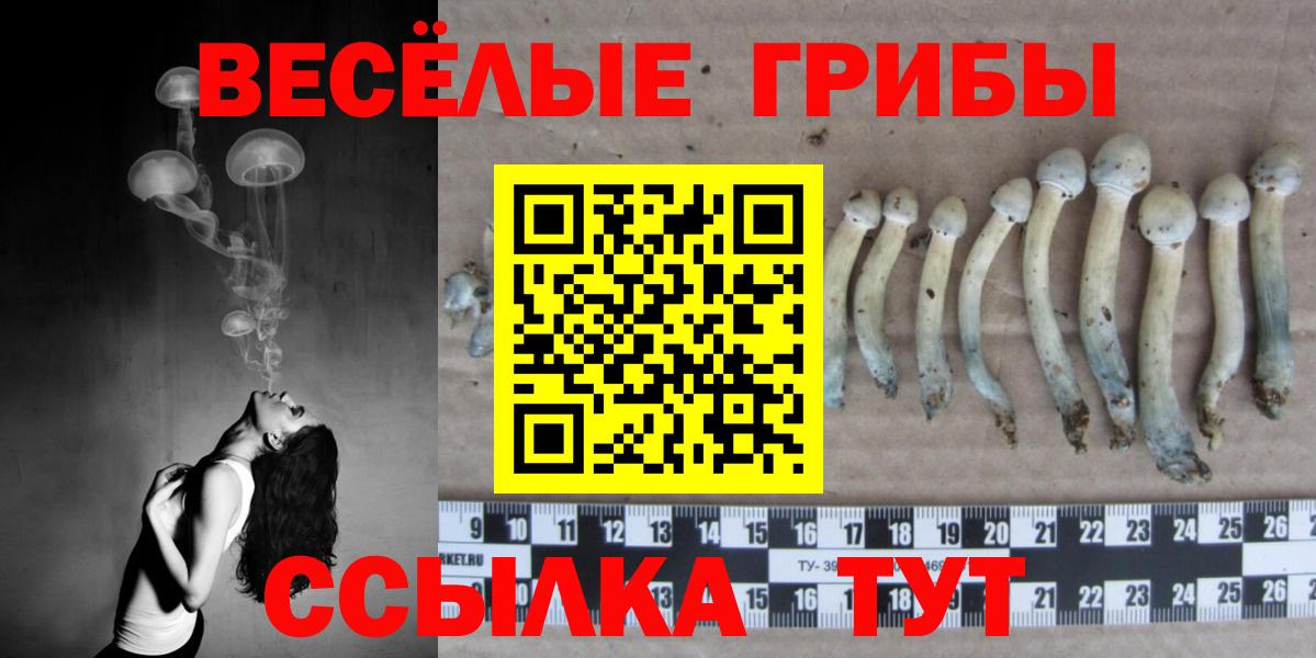 Галлюциногенные грибы мицелий Качканар